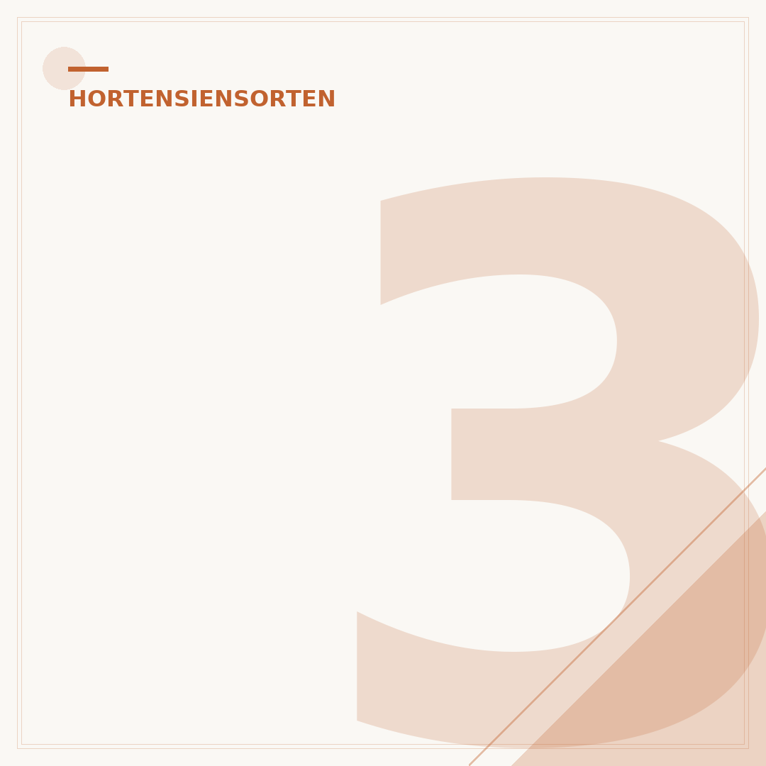 3 Bedingungen für blaue Hortensien