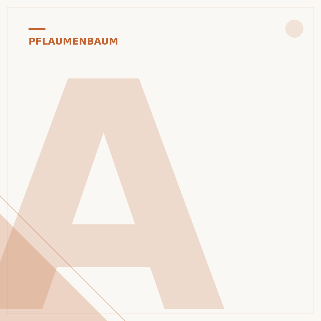Alten Pflaumenbaum schneiden: Erhaltung und Verjüngung
