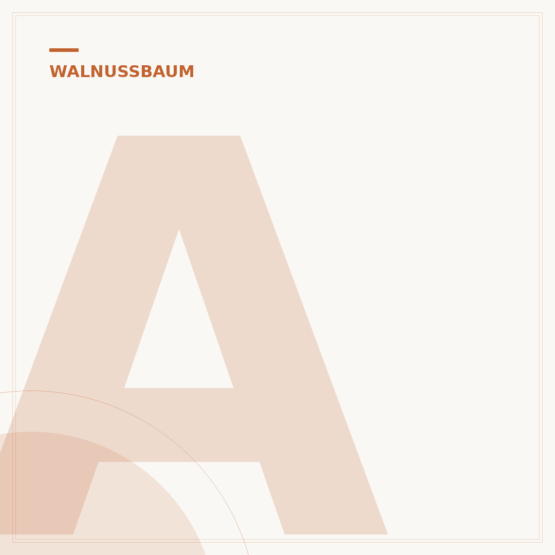Alten Walnussbaum schneiden