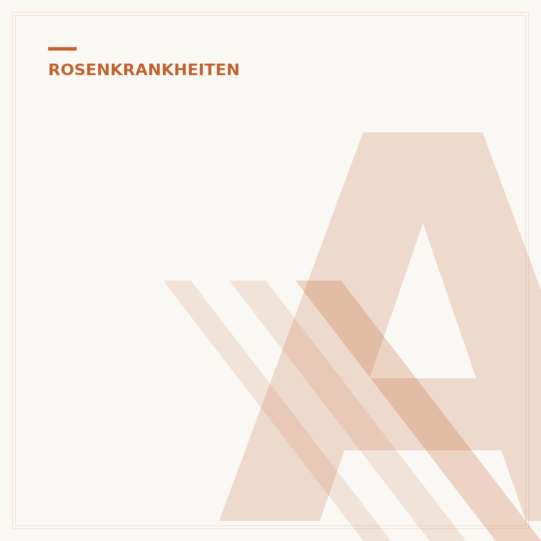 Ameisen an Rosen bekämpfen: Ursachen und wirksame Mittel
