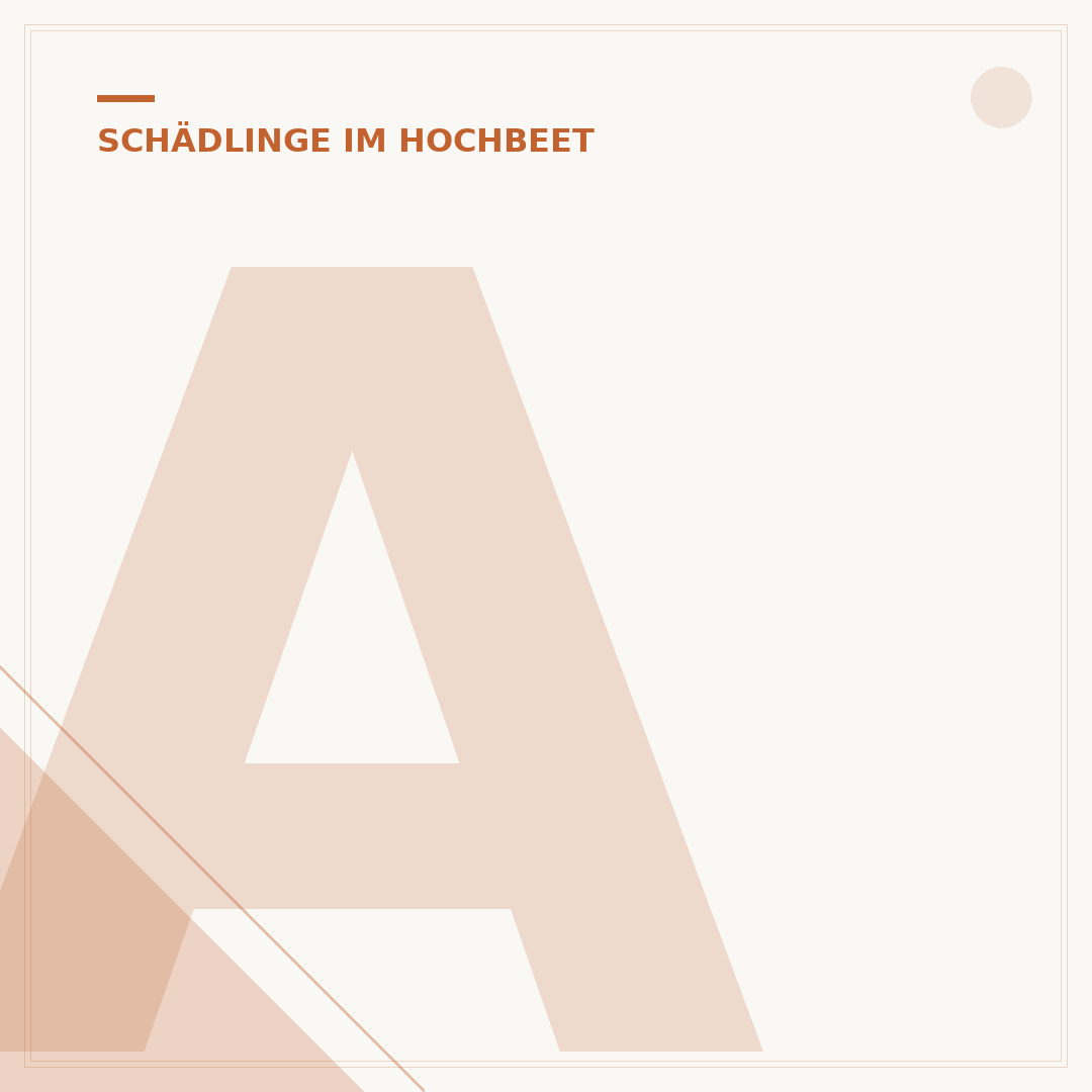 Ameisen im Hochbeet bekämpfen: Natürliche Methoden & Schutz
