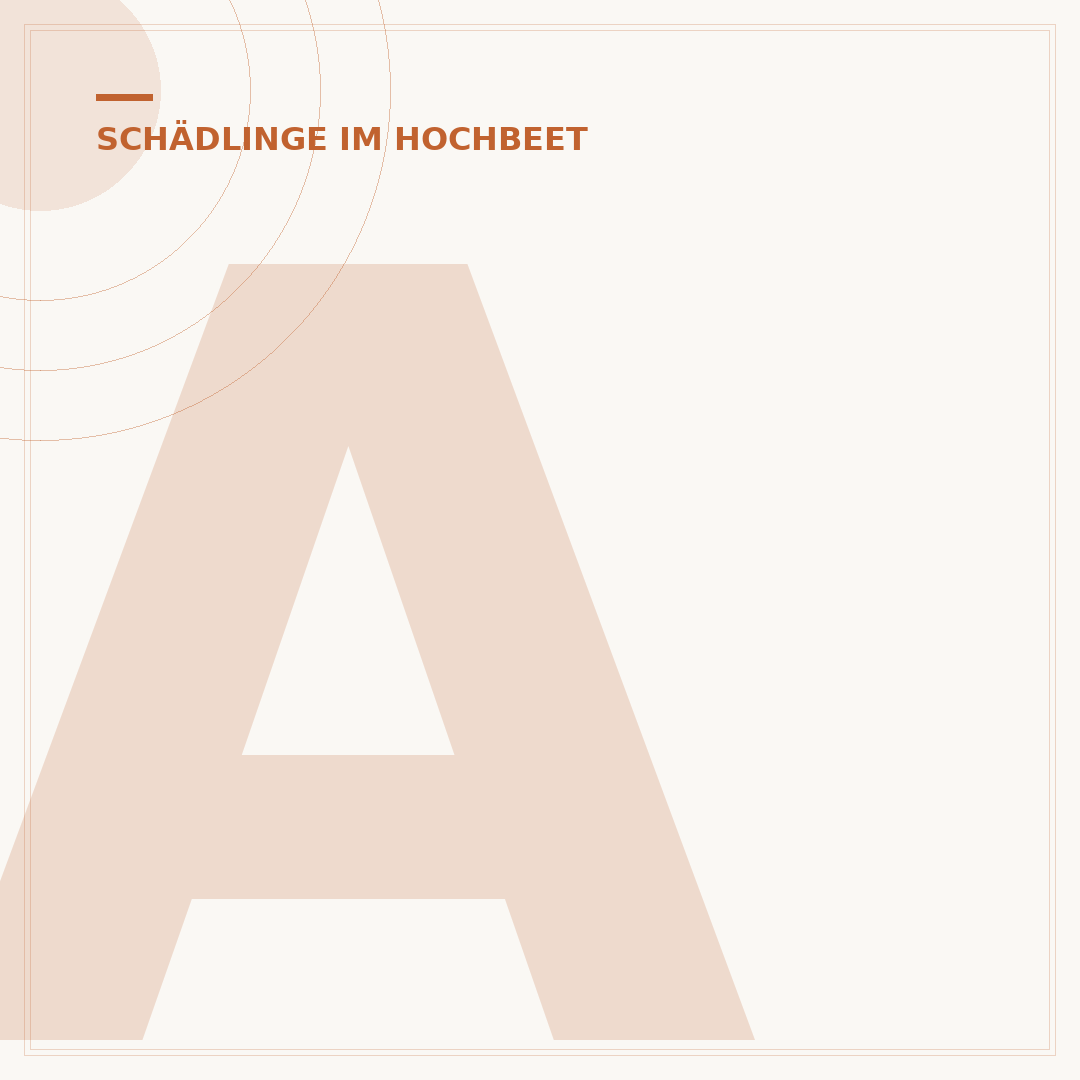 Ameisen im Hochbeet: Was tun gegen die kleinen Plagegeister?
