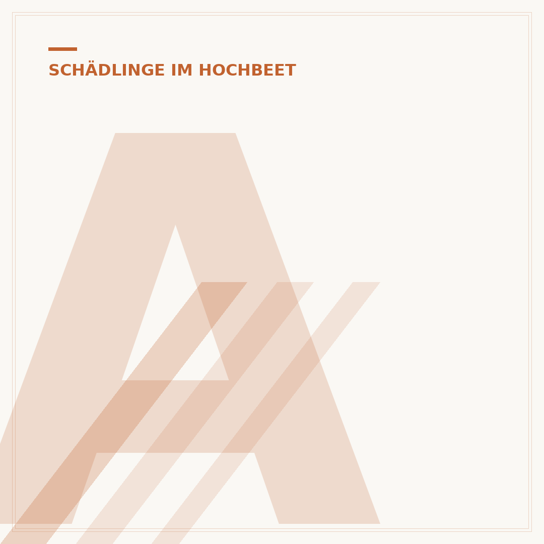 Ameisen aus dem Hochbeet vertreiben