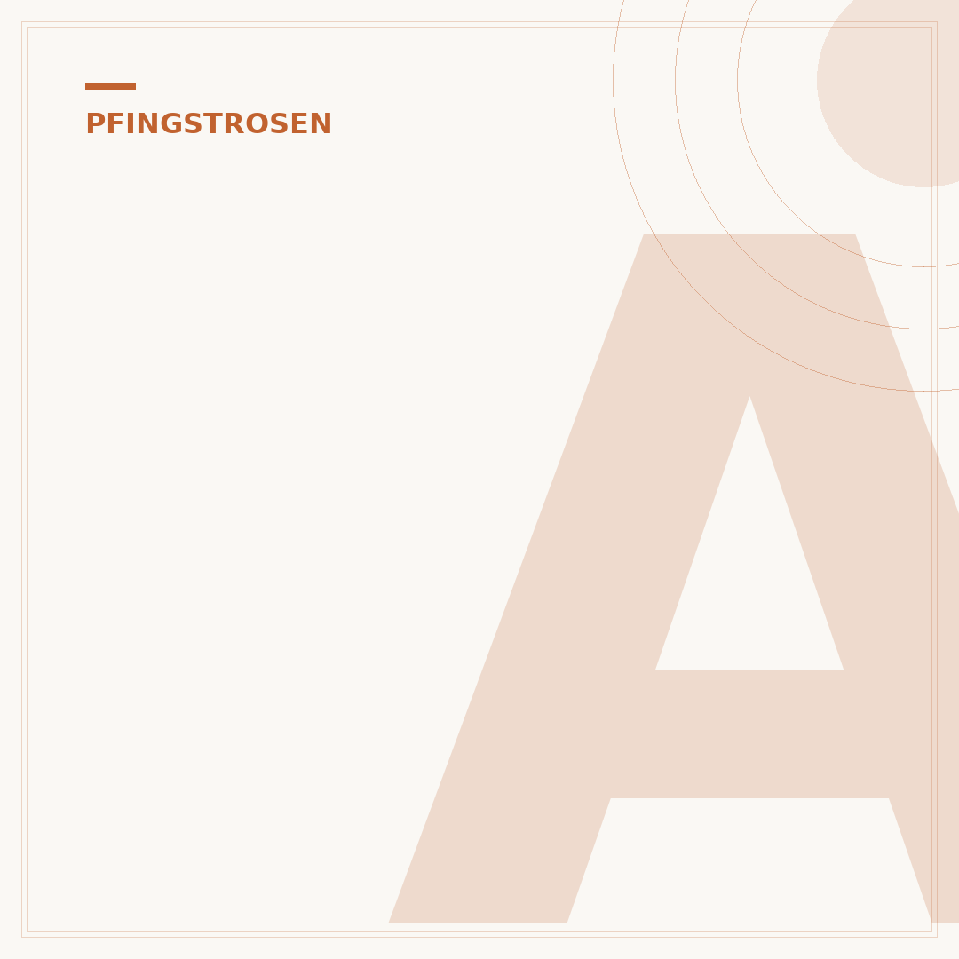 Ameisen auf Pfingstrosen: Ursachen, Schutz und Pflege