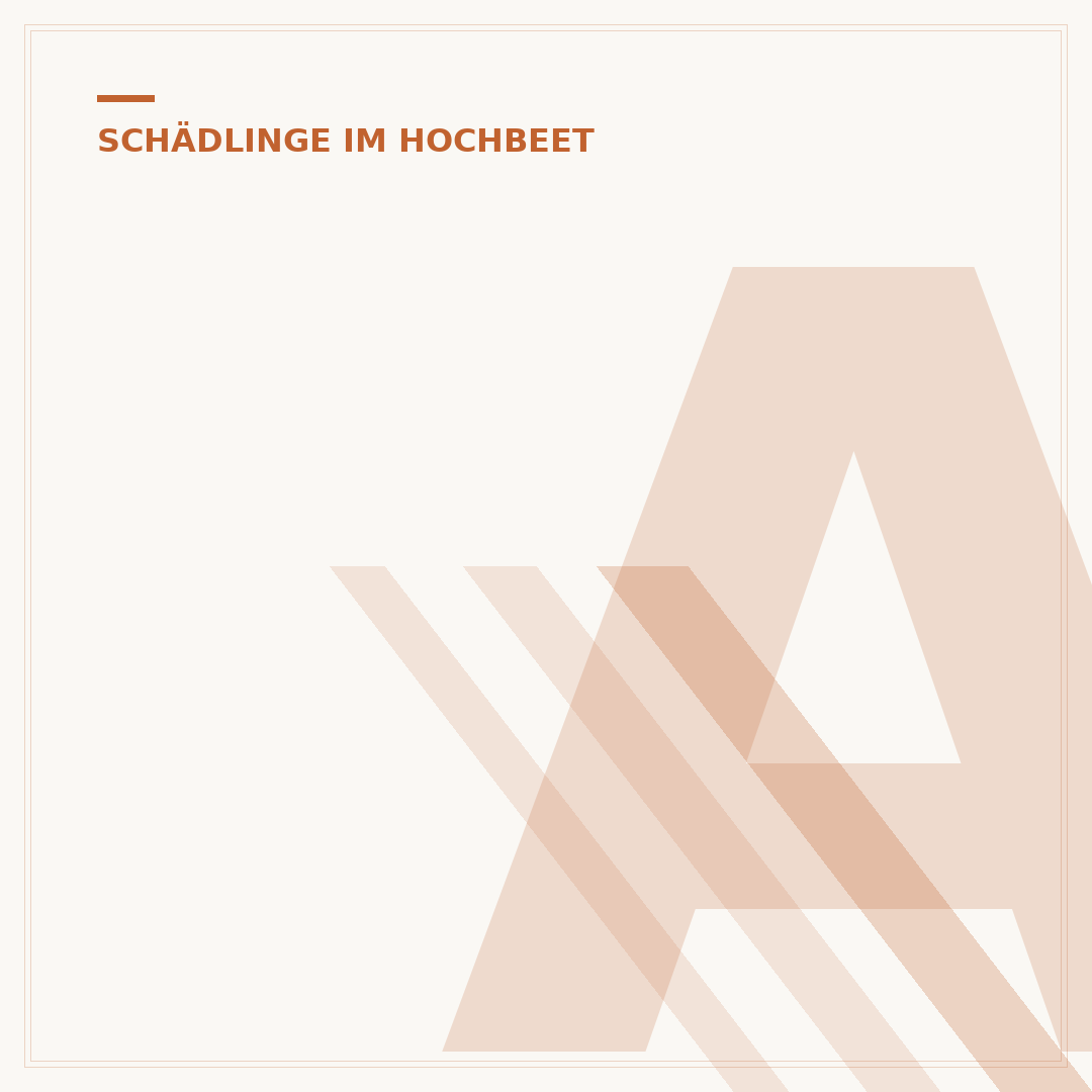 Asseln im Hochbeet: Nützlinge oder Schädlinge?