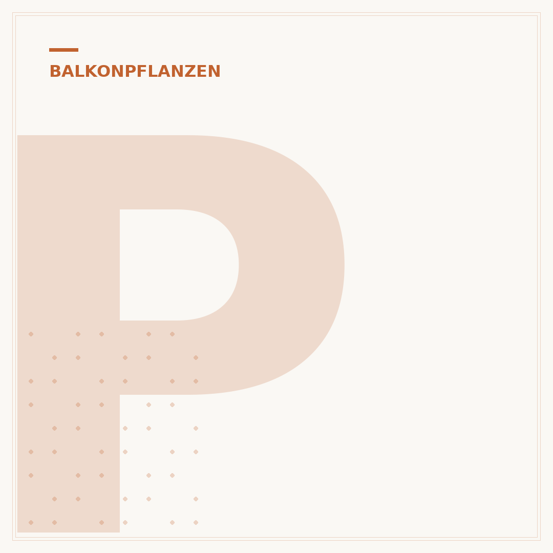 Pflegeleichte Balkonpflanzen für die Sonne