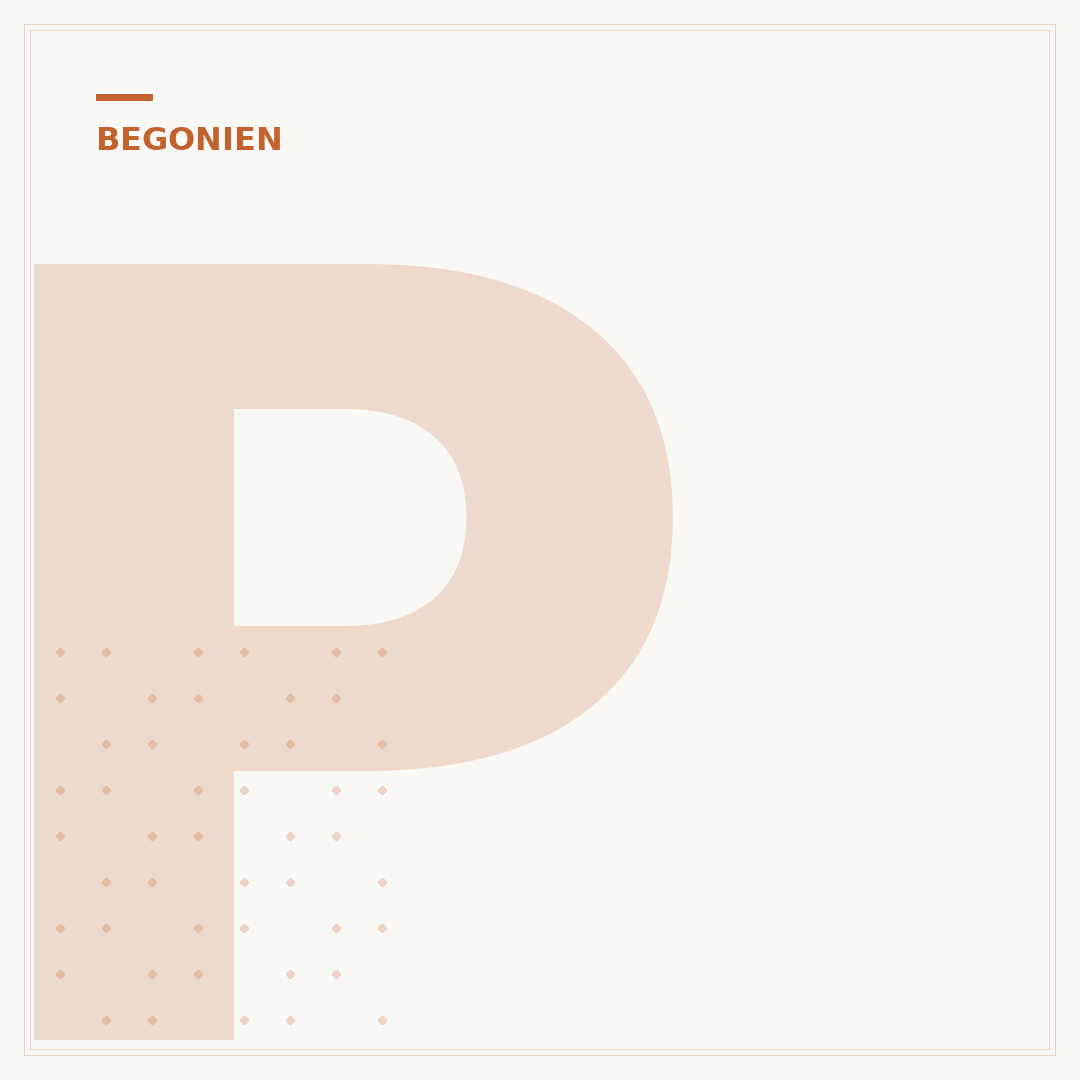 Pflege von Zimmer-Begonien