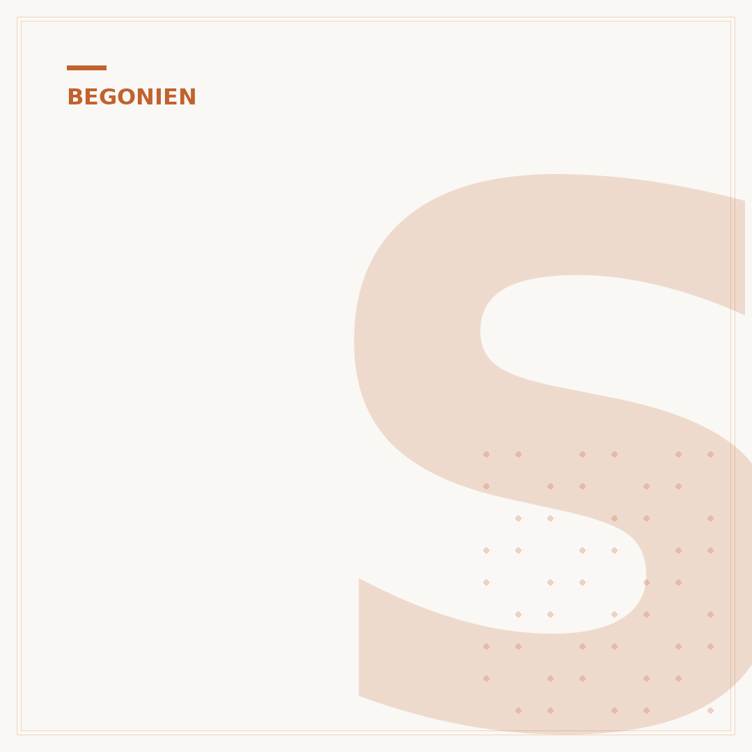 Standort für Begonien draußen