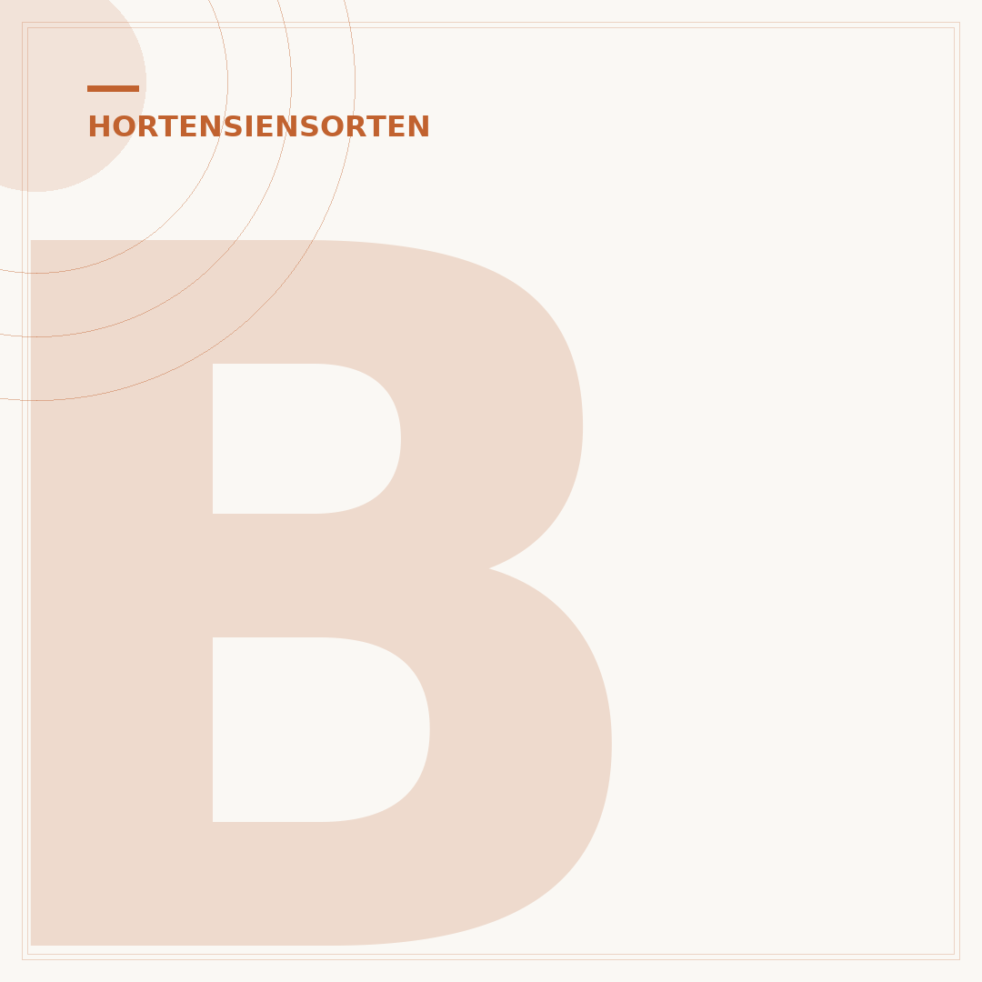 Blaue Hortensie Rilke: Symbolik und dichterische Inspiration