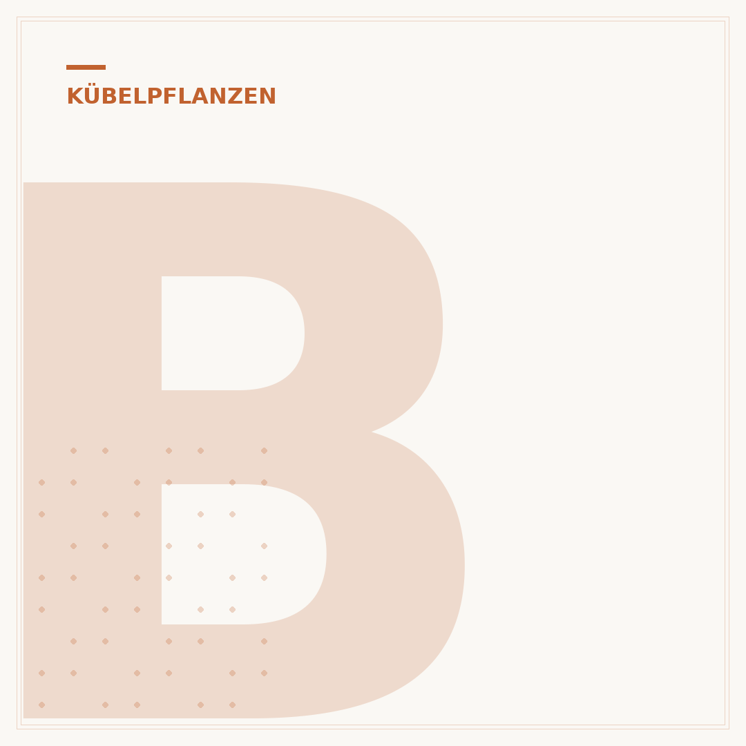 Blühende Kübelpflanzen für Schatten: Ihr Ratgeber