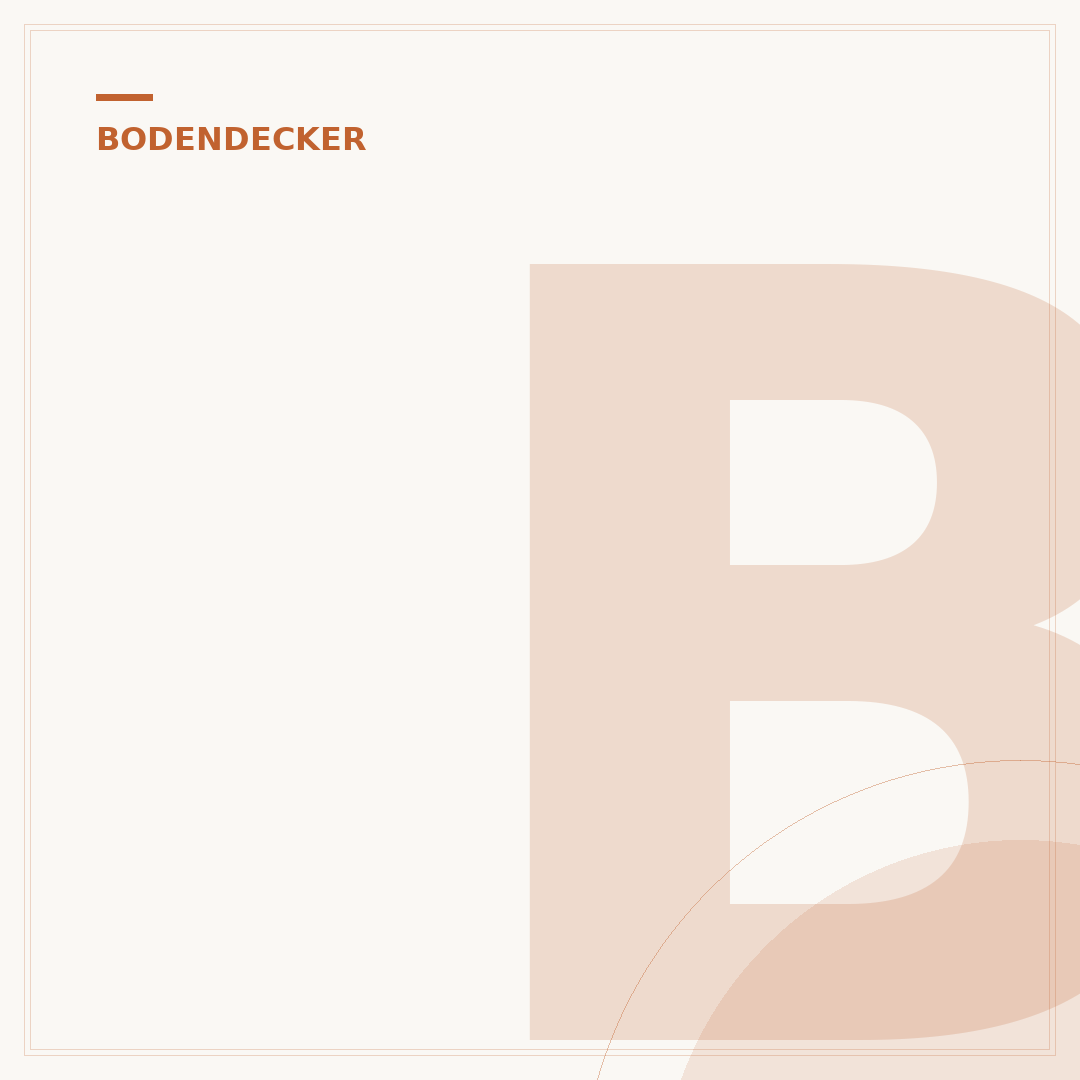 Bodendecker-Thymian schneiden
