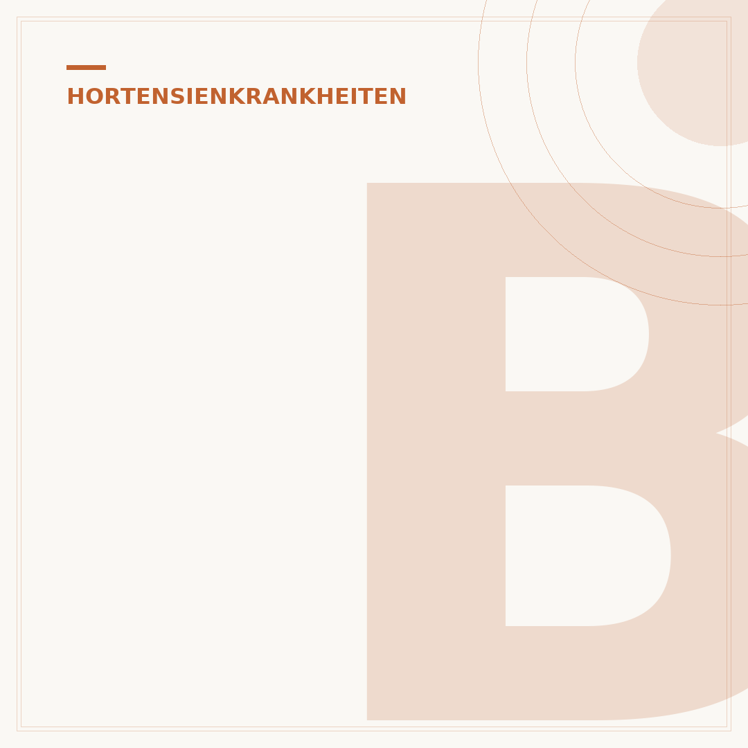 Braune Blattränder bei Hortensien: Ursachen und Lösungen