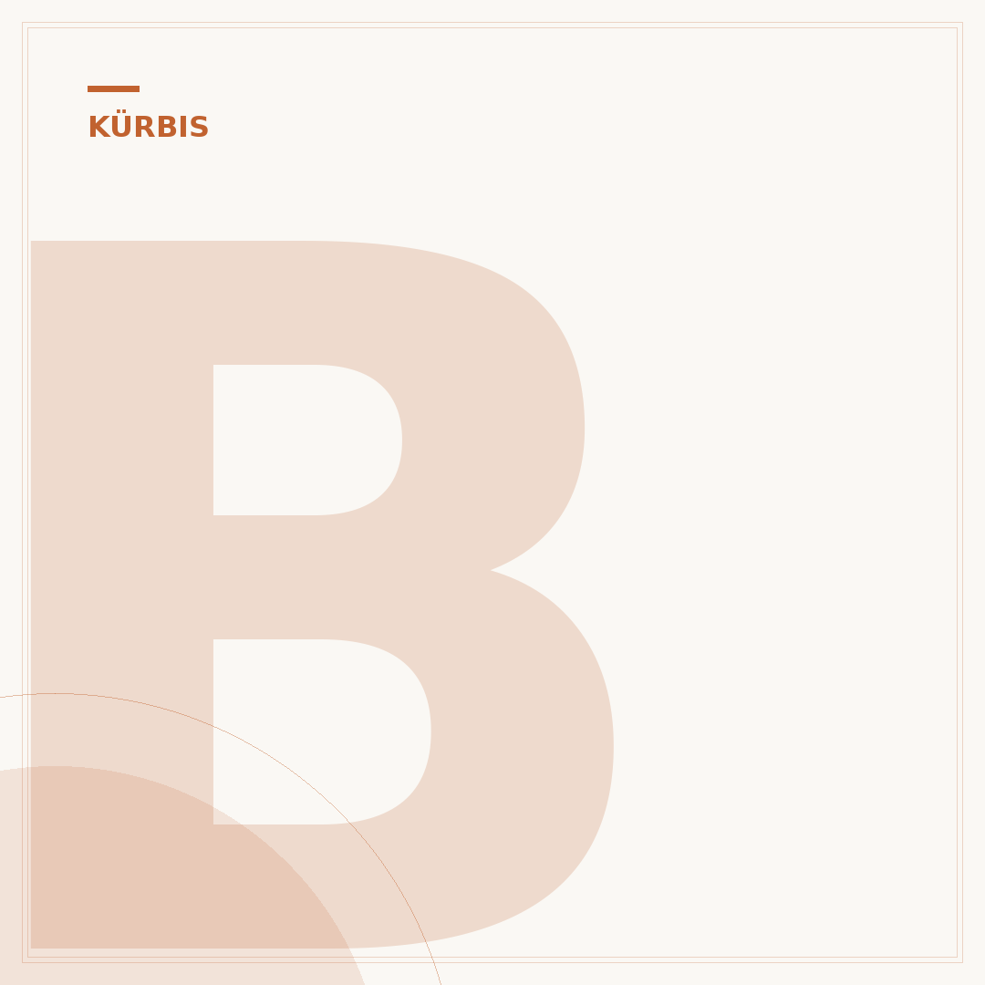 Butternut-Kürbis pflanzen