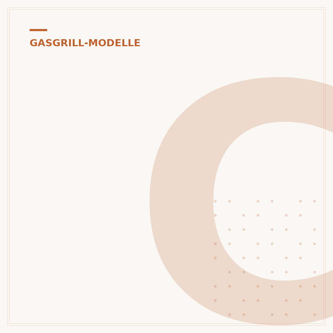 Chef Cuisine Gasgrill: Worauf achten beim Kauf?