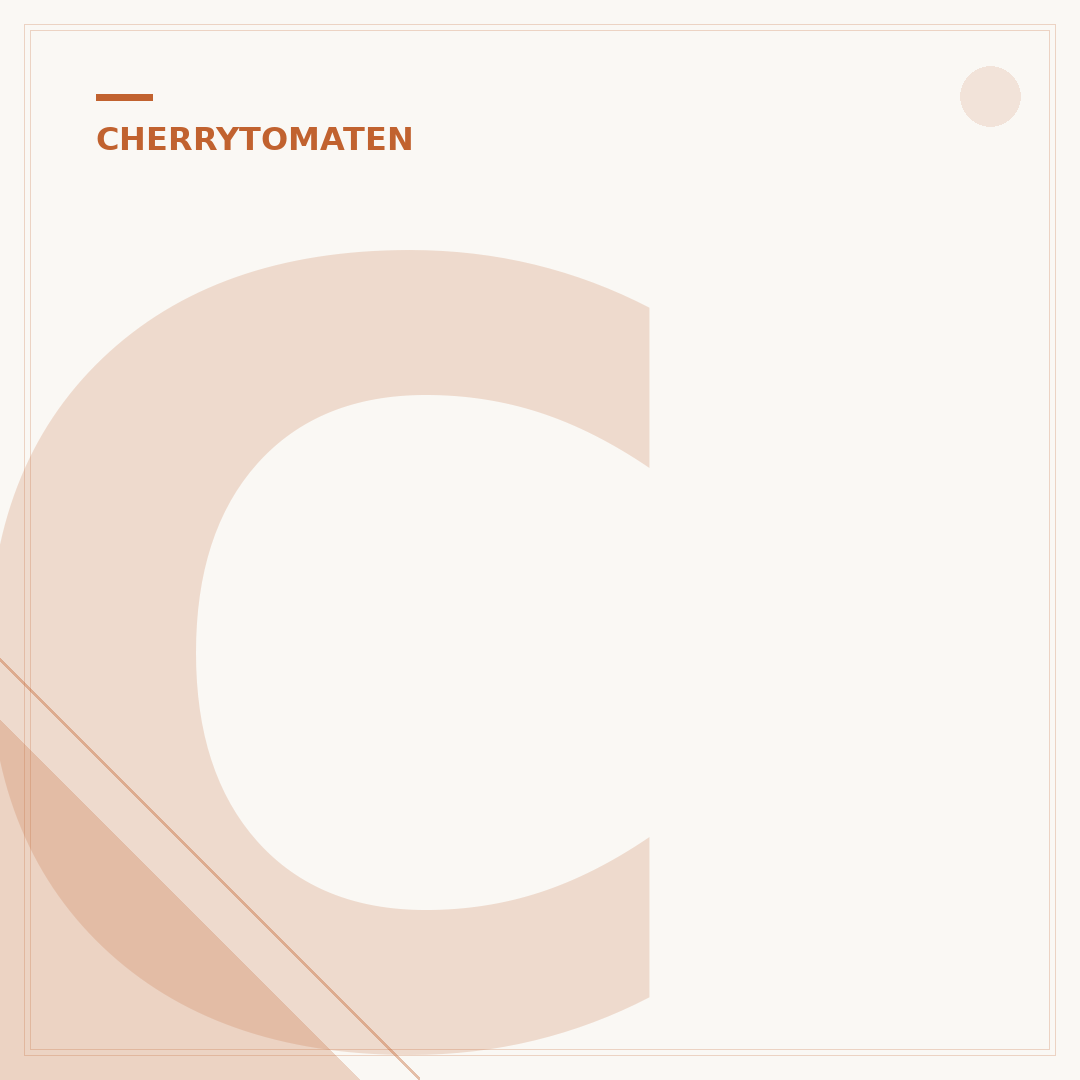 Cherrytomaten anbauen