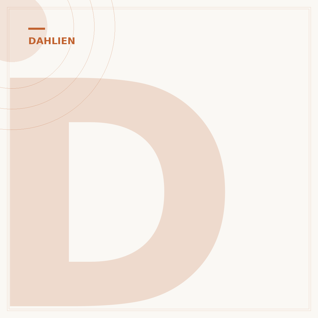 Dahlien überwintern