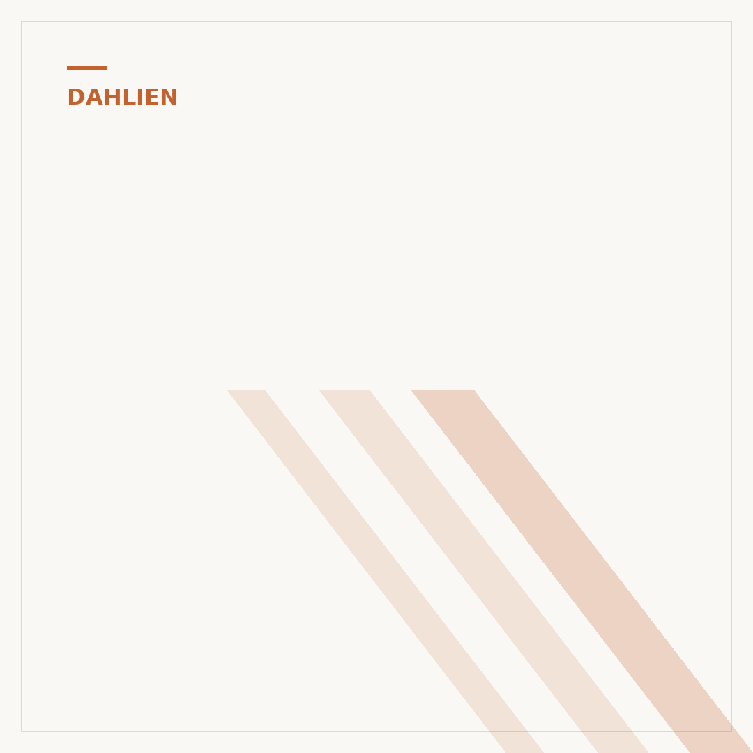 Überwinterung von Dahlien