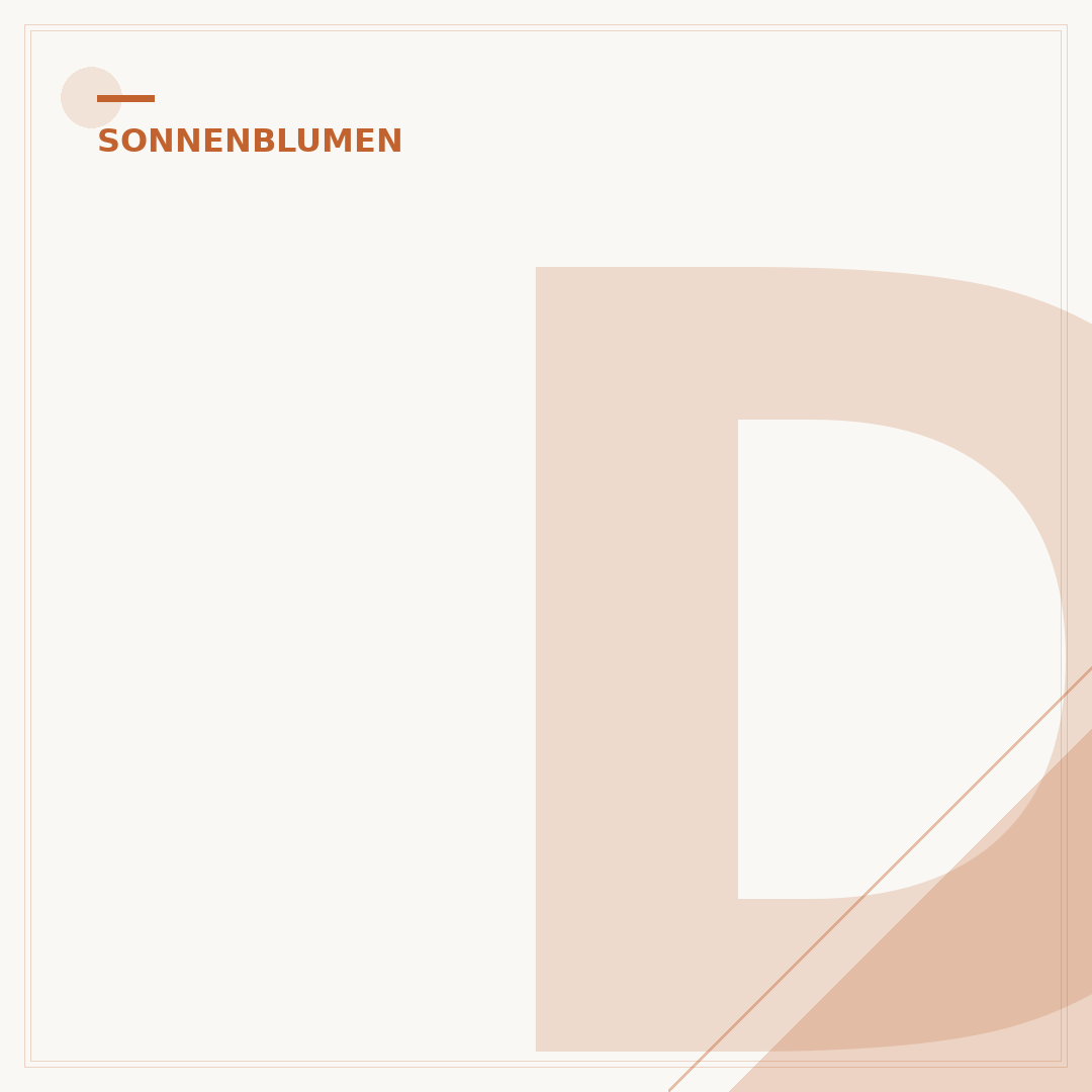 Detektiv Conan: Sonnenblumen des Infernos