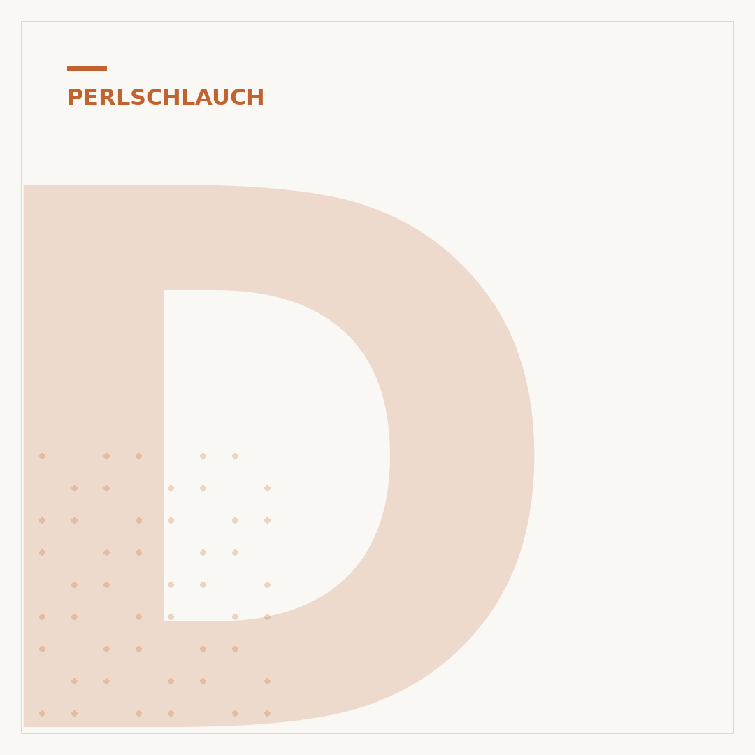 Druckminderer für Perlschlauch: Schutz und Effizienz