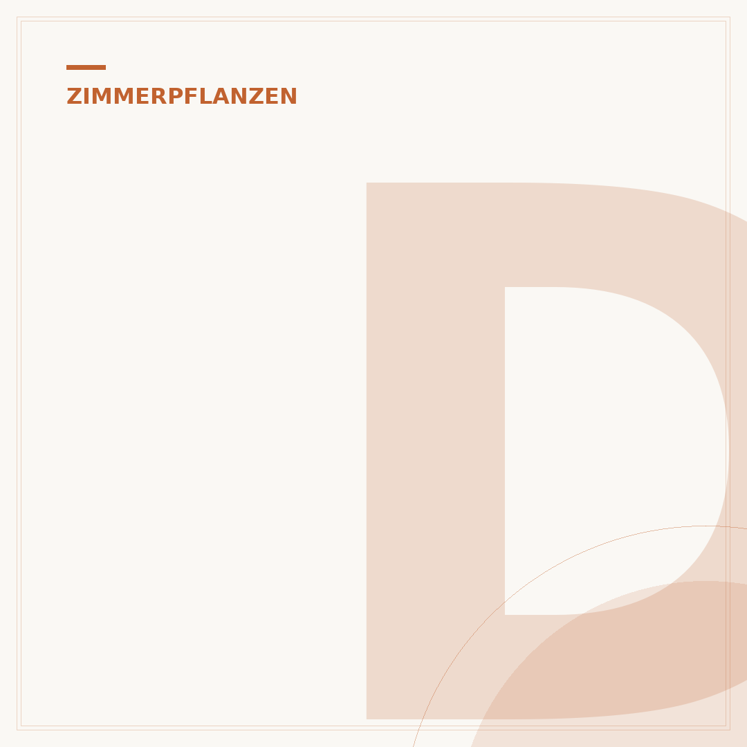 Dünger für Zimmerpflanzen