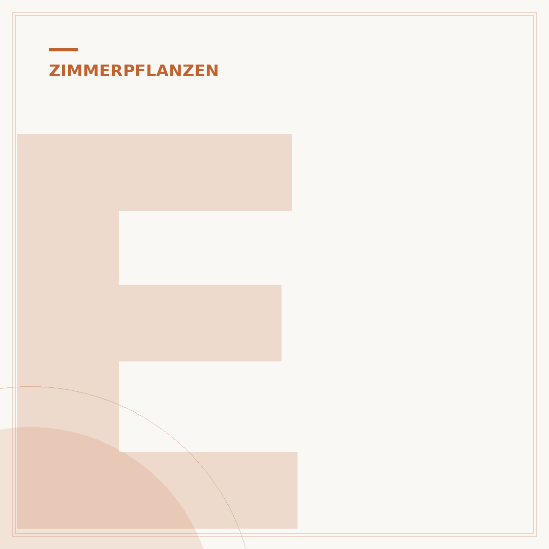 Effektive Mikroorganismen für Zimmerpflanzen nutzen