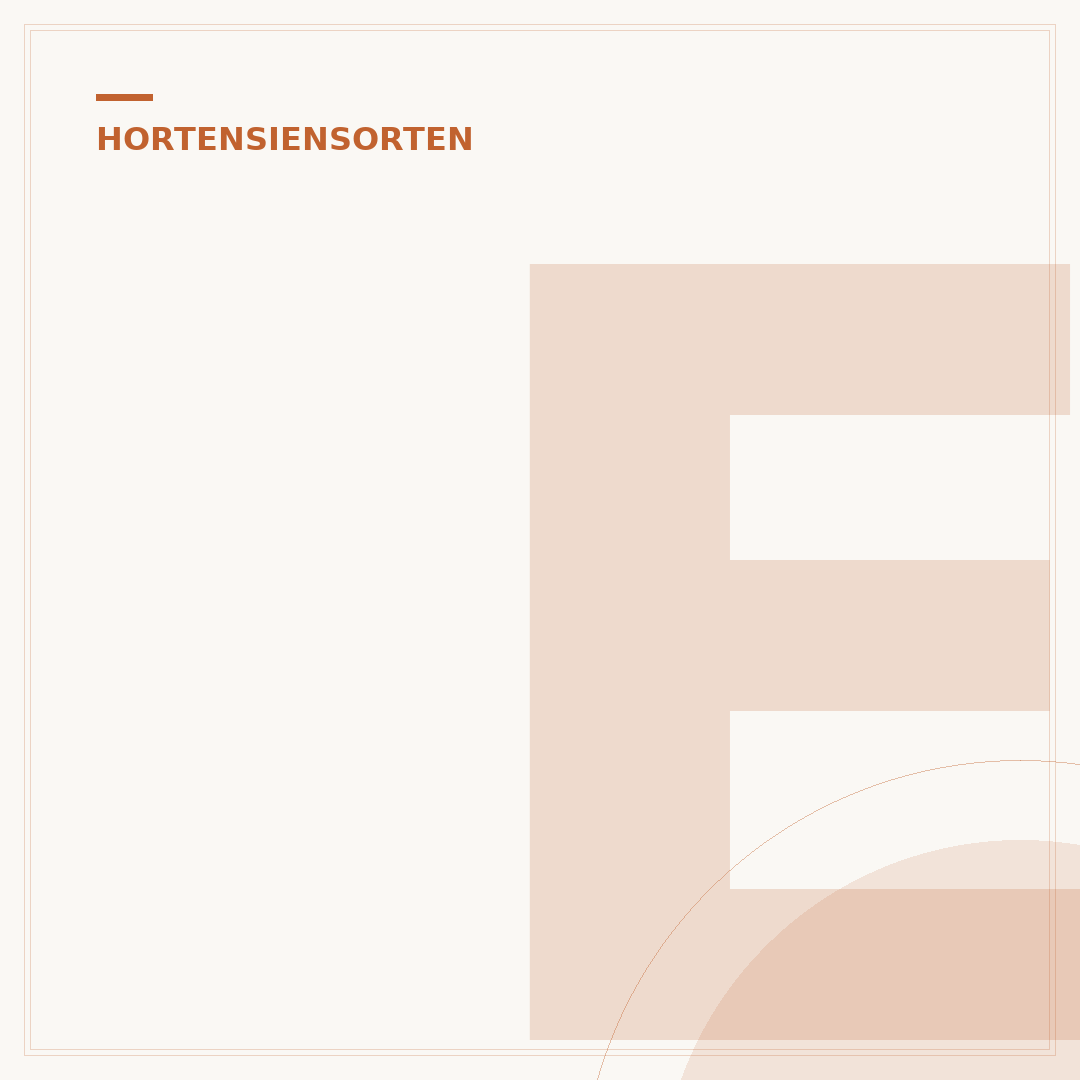 Eichenblatt Hortensie Ruby Slippers: Pflege & Besonderheiten