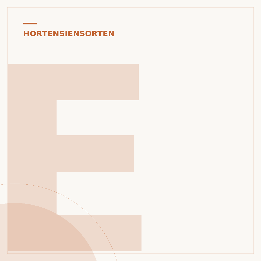 Endless Summer Hortensie Standort: So blüht sie prächtig