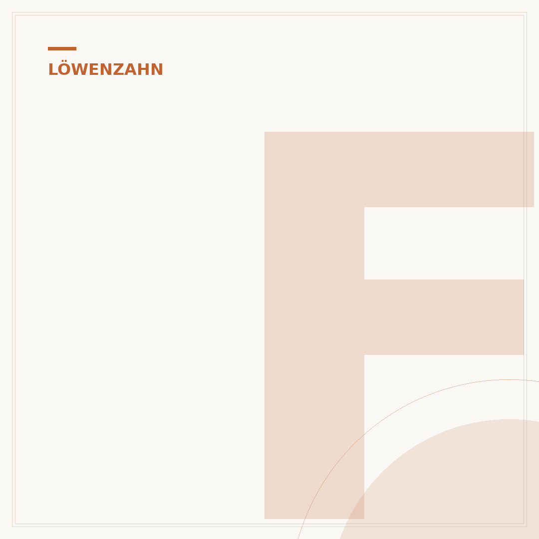Falscher Löwenzahn: Giftig für Mensch und Tier?