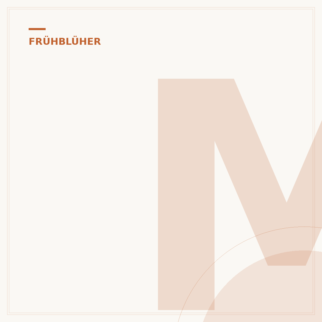 Mehrjährige Frühblüher-Zwiebeln