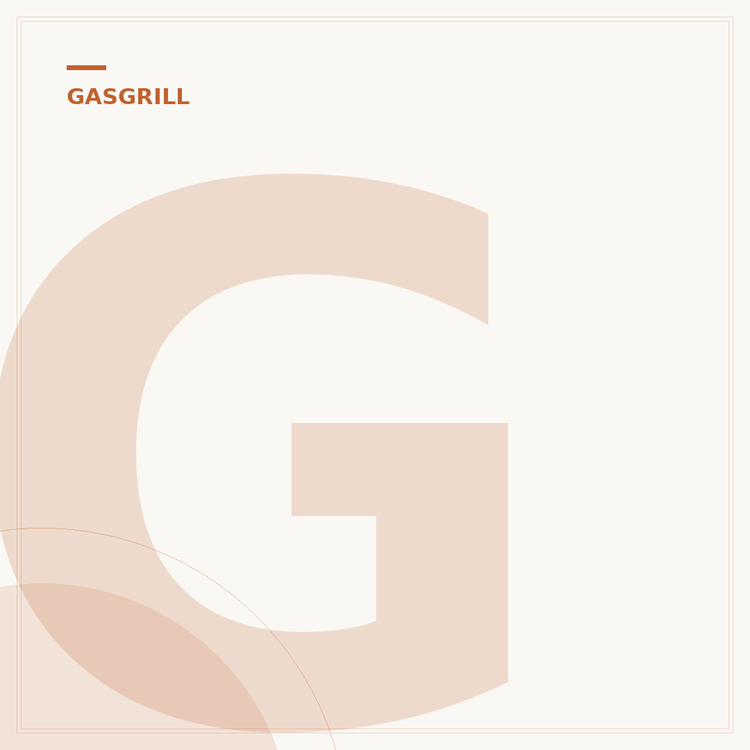 Gasgrill bis 200 Euro