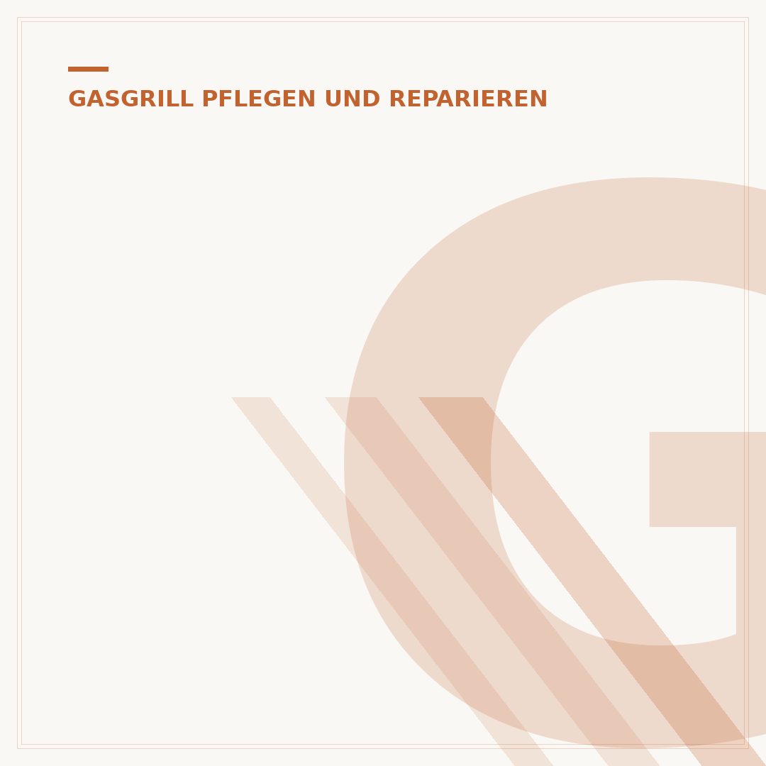 Gasgrill mit Infrarotbrenner