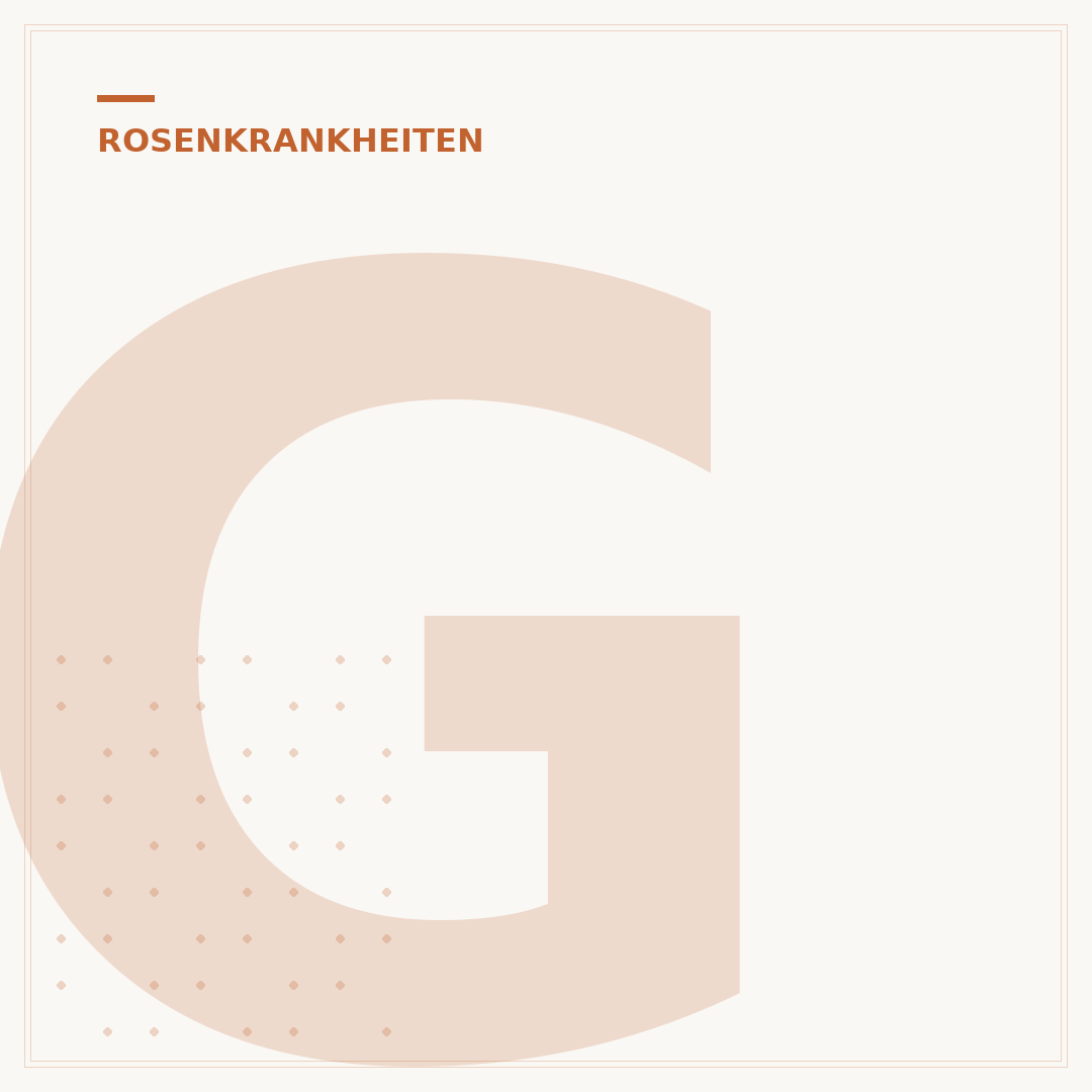 Gelbe Blätter bei Rosen: Hausmittel für gesunde Pflanzen