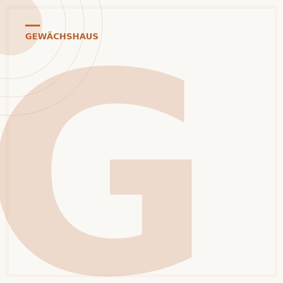 Gewächshaus innen gestalten: Ideen & Tipps für Ihre Pflanzen
