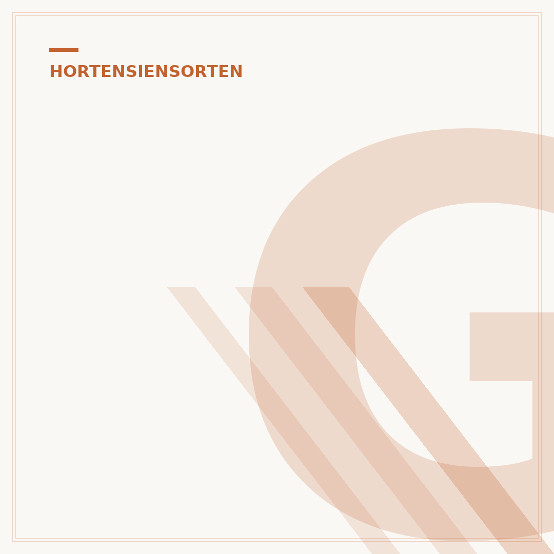 Ground Breaker Hortensie: Pflege und Sorten