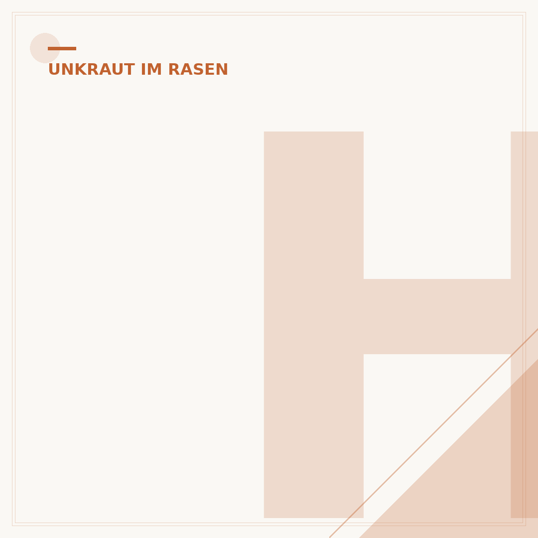 Habichtskraut im Rasen: Ursachen, Bekämpfung und Vorbeugung