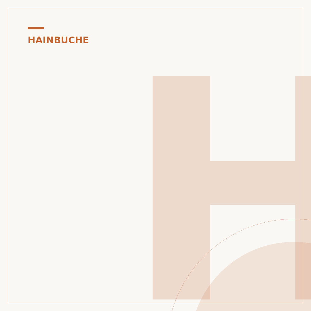 Hainbuche Frucht: Was sie ist und wie sie wächst