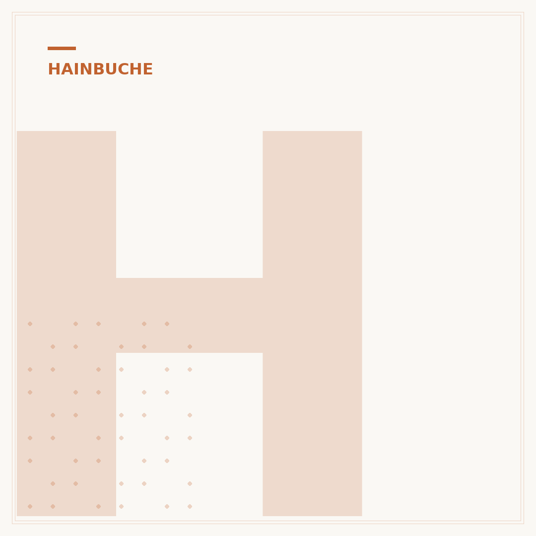 Hainbuche Krankheiten: Bilder & Erkennung von Schäden