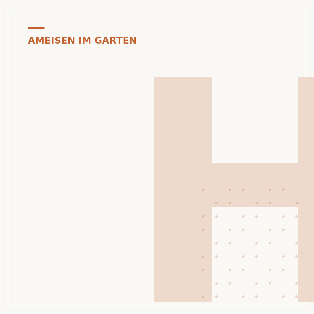 Hausmittel gegen Ameisen im Garten: Effektive Lösungen