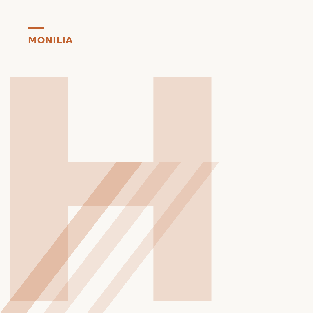 Hausmittel gegen Monilia