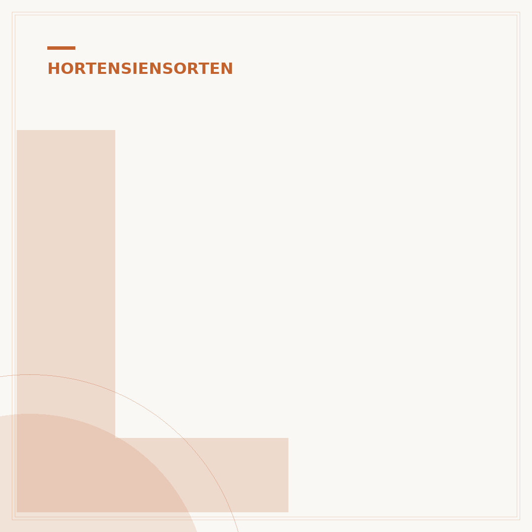 Lime Light Hortensie: Pflege, Blüte & Standort