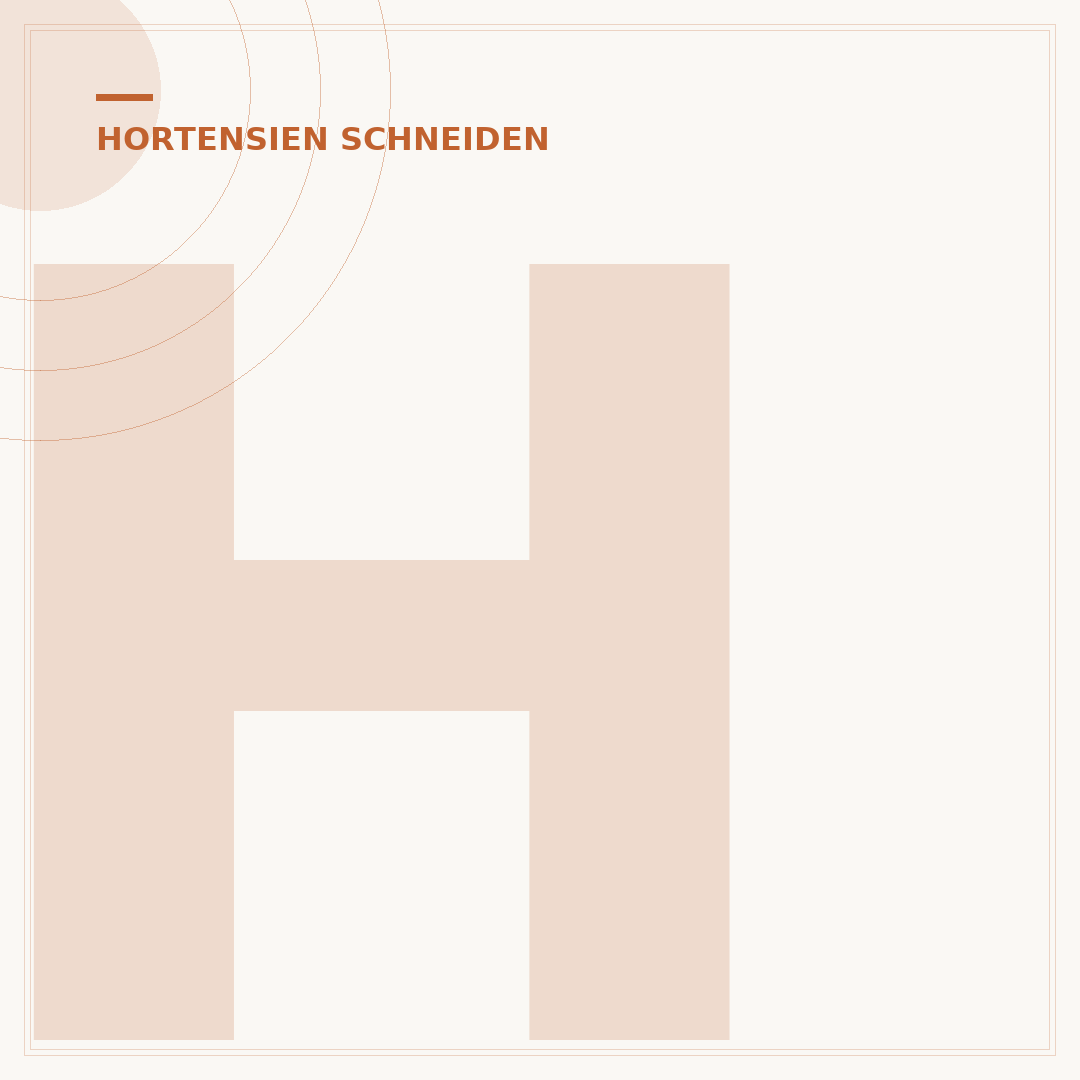 Hortensie radikal zurückschneiden: Wann und warum im Herbst?