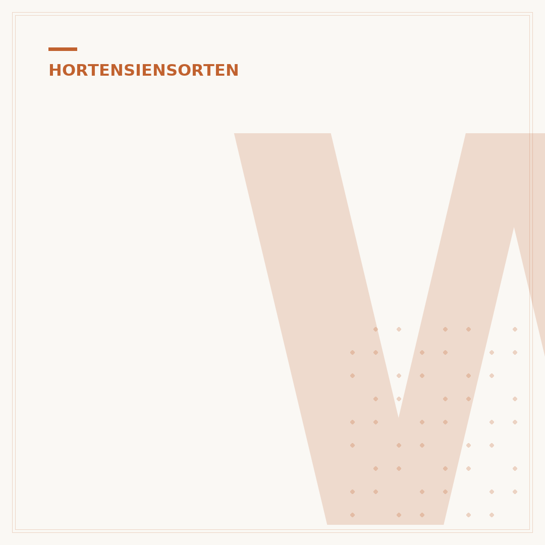 Warum Hortensien Blüten grün werden: Ursachen und Tipps