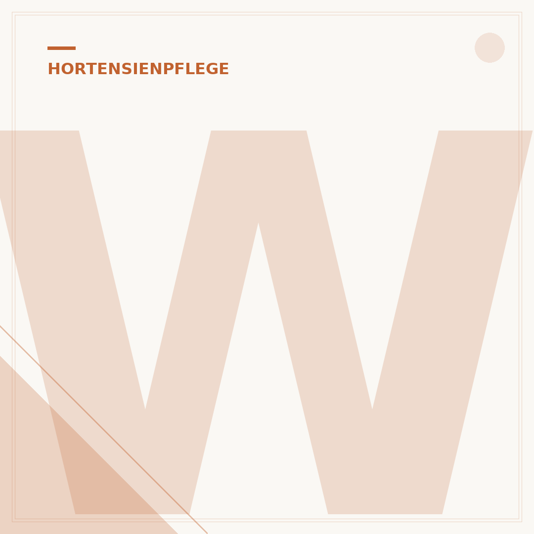 Wann Hortensien umpflanzen?