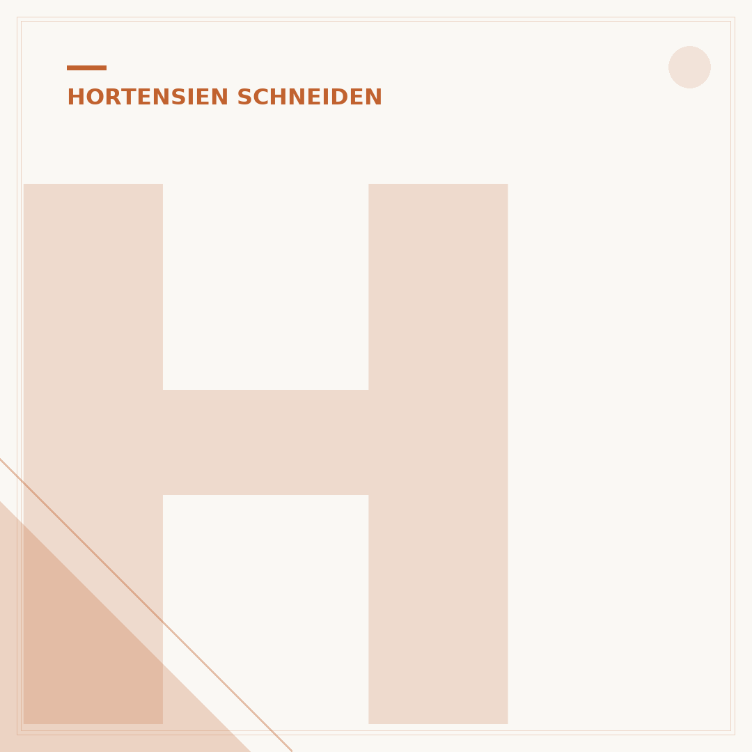 Hortensien schneiden: Herbst oder Frühjahr?