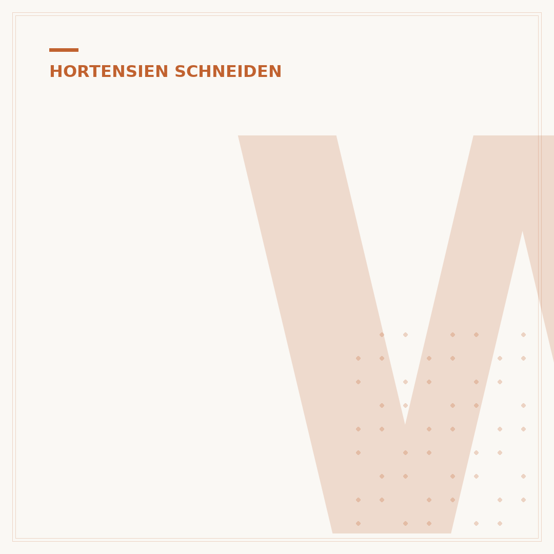 Wann Hortensien schneiden?