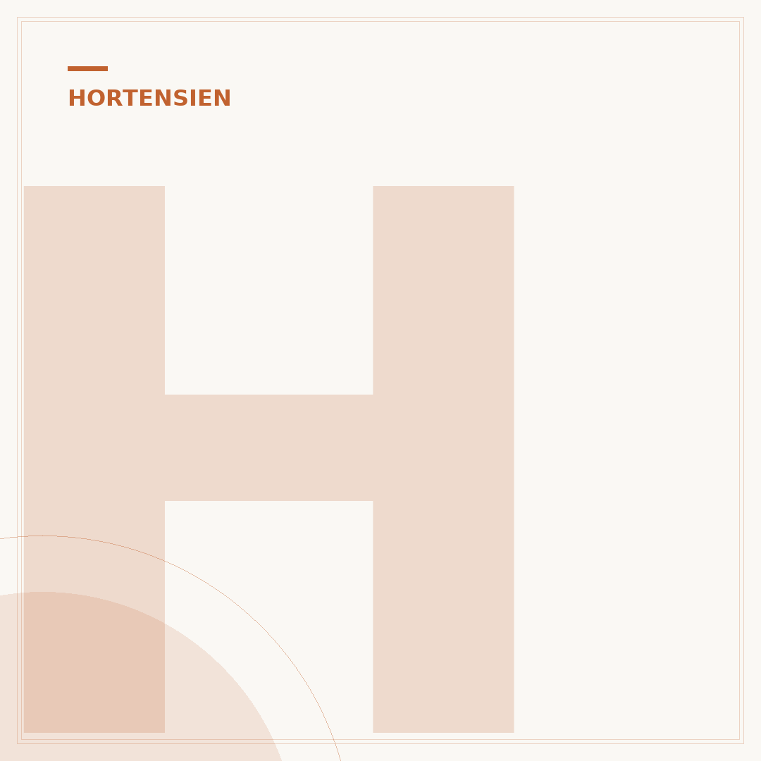 Hortensien Sorten: Die Wahl für jeden Garten