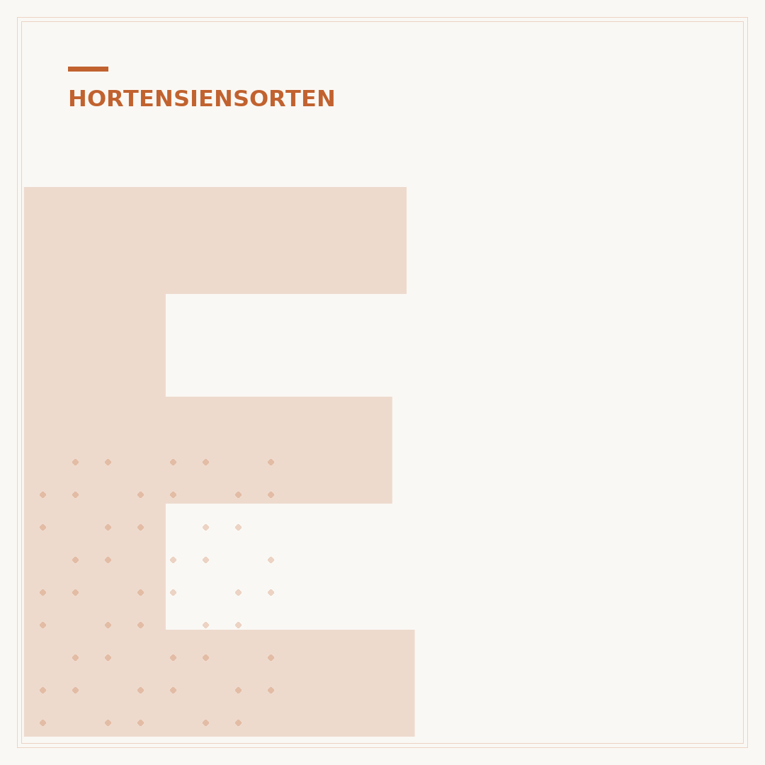 Endless Summer Hortensien: Pflege für lange Blüte