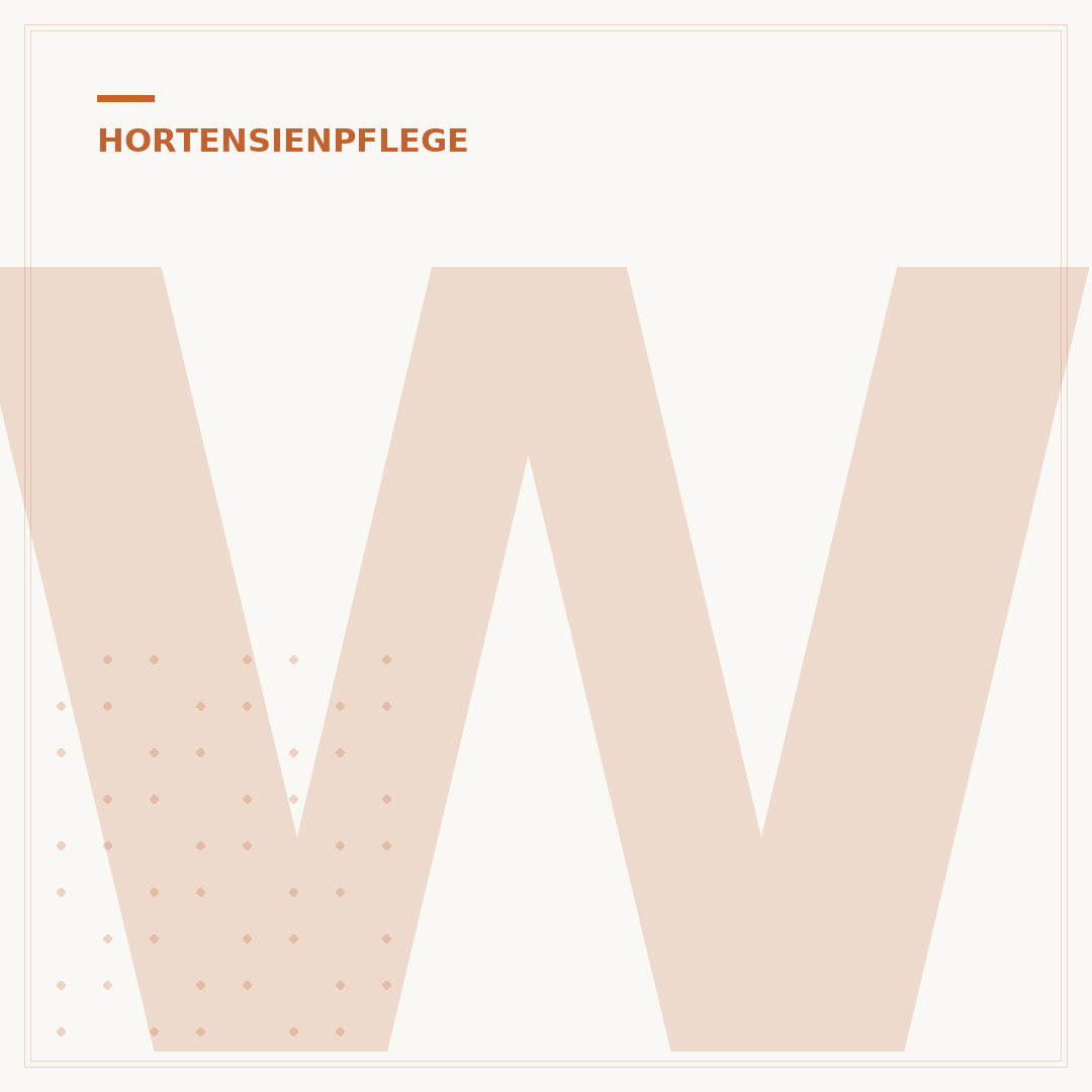 Wie schnell wachsen Hortensien? Wachstum verstehen