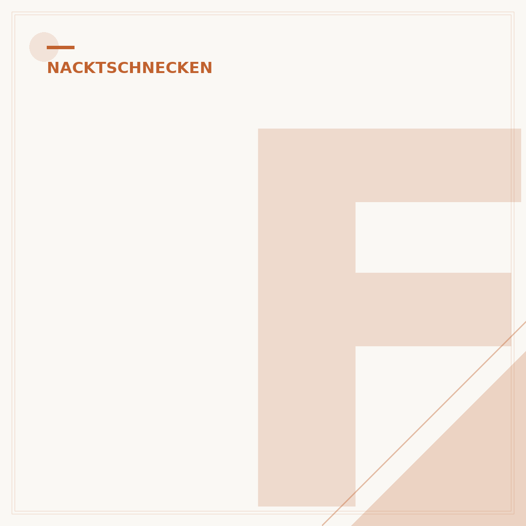 Fressen Hühner Nacktschnecken: Ja oder Nein?