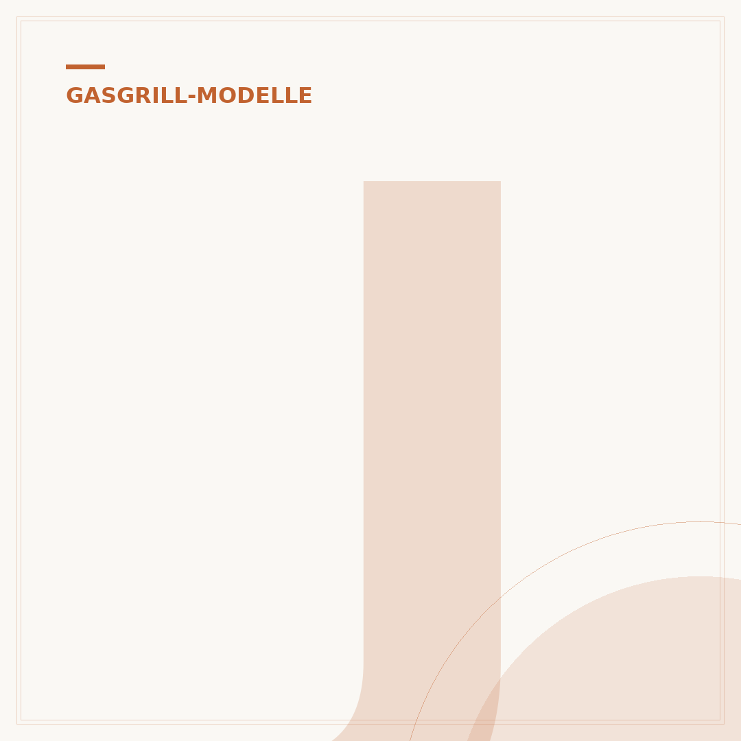 Jamestown Gasgrill